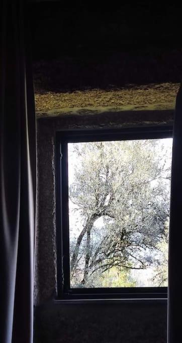 Casa Nova Das Oliveiras Braga Esterno foto