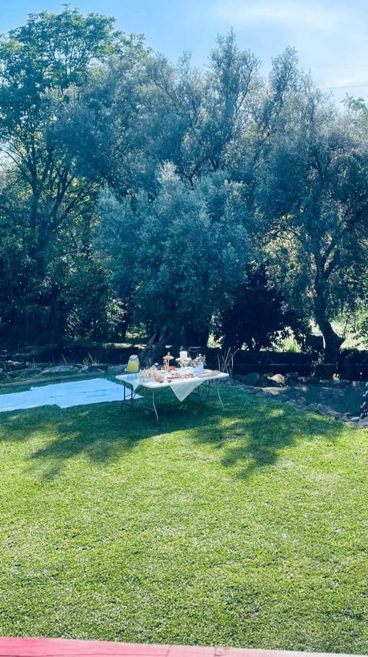 Casa Nova Das Oliveiras Braga Esterno foto